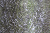 Hincknowle fibreglass roof work